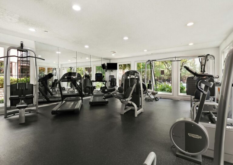 Gym with treadmills, bikes, and large windows showing greenery outside