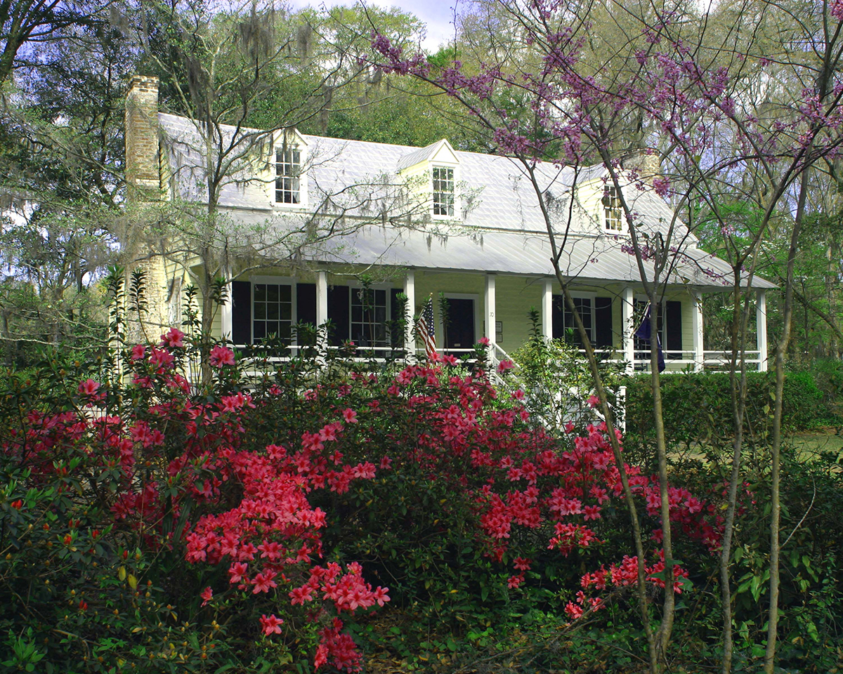 Cottage-style home with lush garden and blooming azaleas.